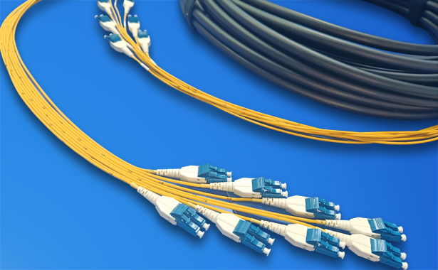 Singlemode Multicore Trunks